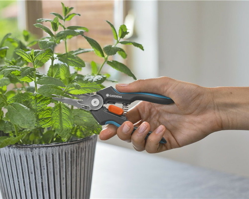 Sécateur gripcut à lames aiguisées et pointues
