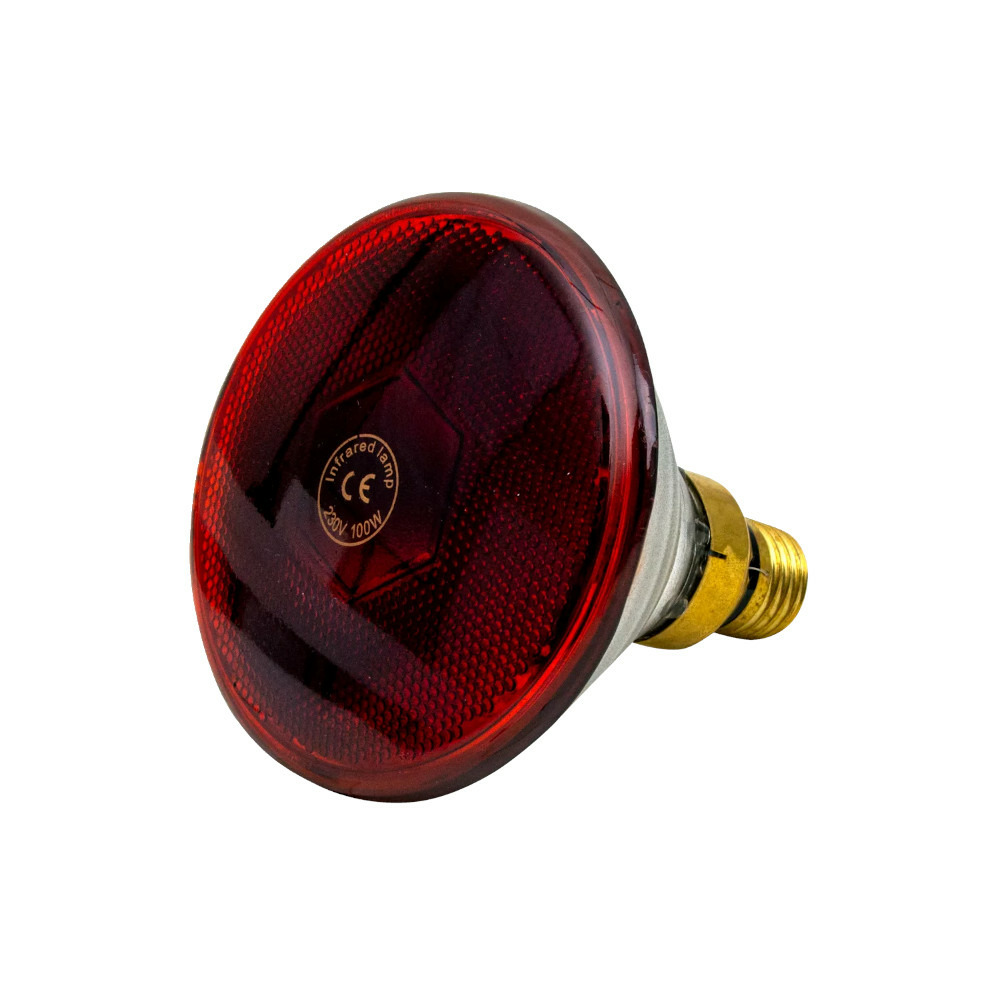 Ampoule infrarouge par 100 w rouge