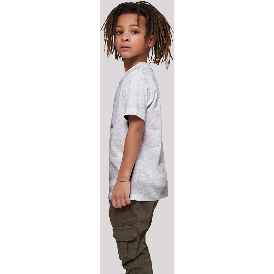 F4NT4STIC T-Shirt Robbe Knut & Jan Hamburg heather grey