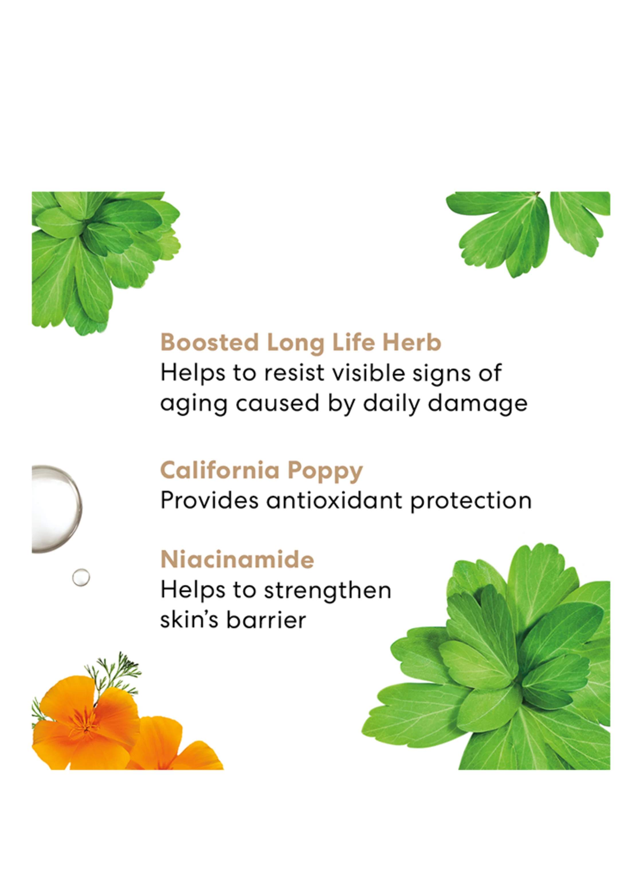bareMinerals SKINLONGEVITY