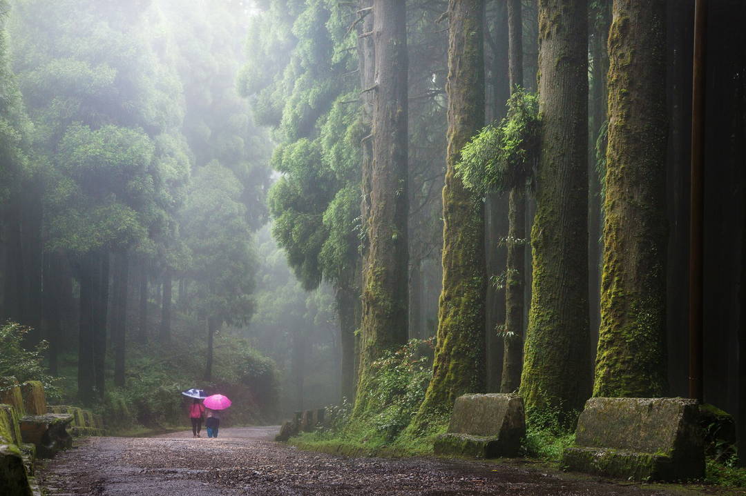 The Giants by Christophe Jacrot - Limited Edition. Edition of: 150. Signed.