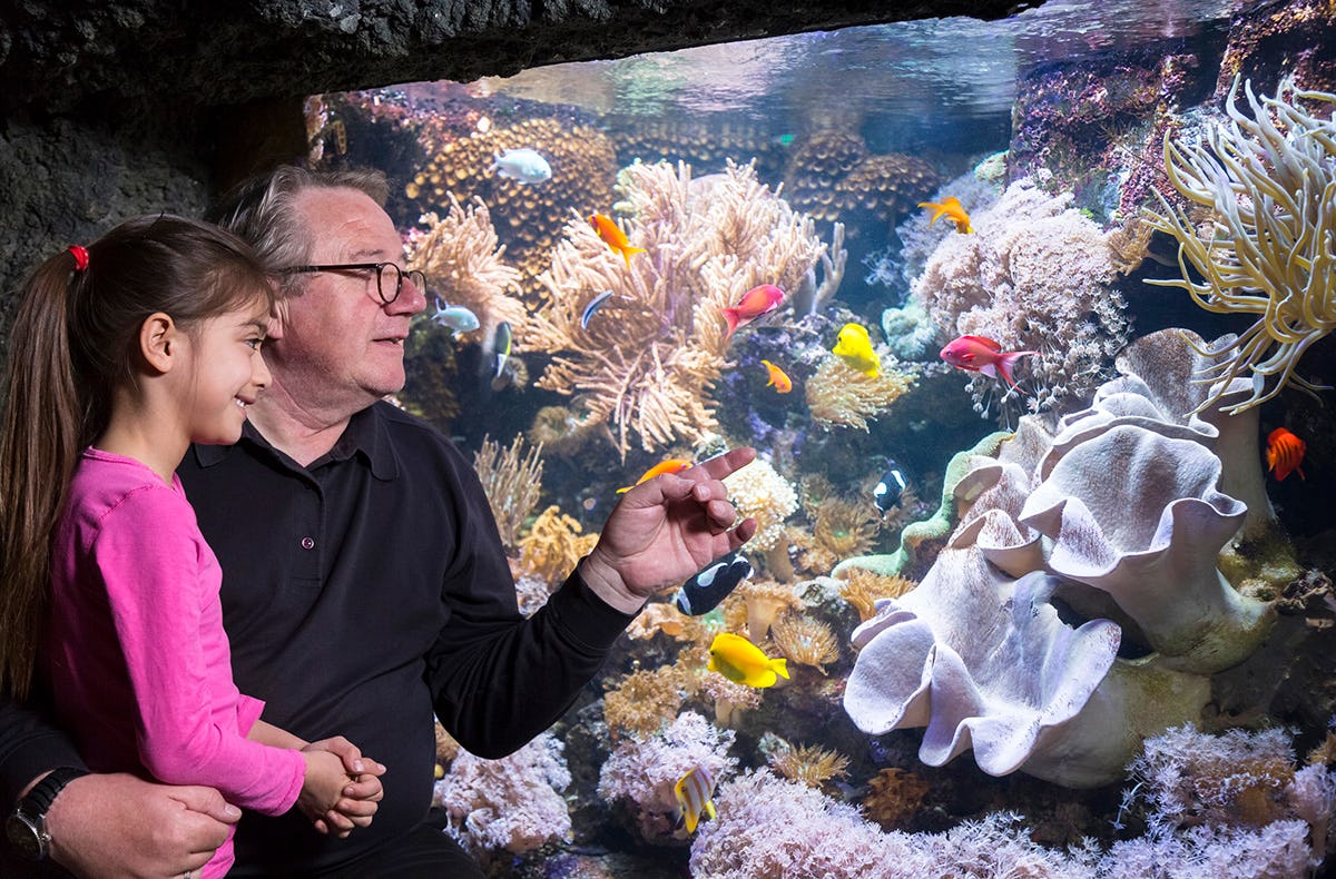 Sea Life Speyer (Kinder-Ticket)