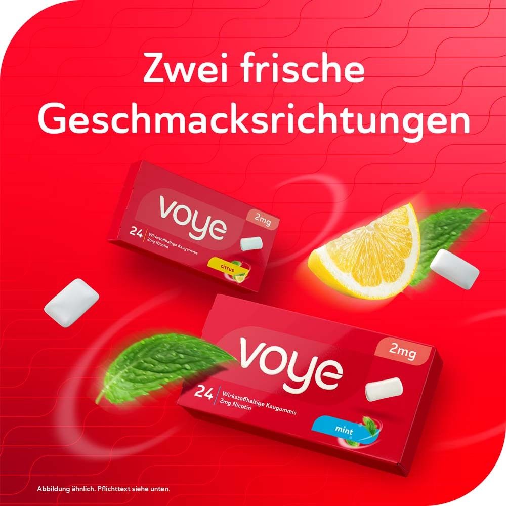 Voye Mint 4mg wirkstoffhaltiges Kaugummi