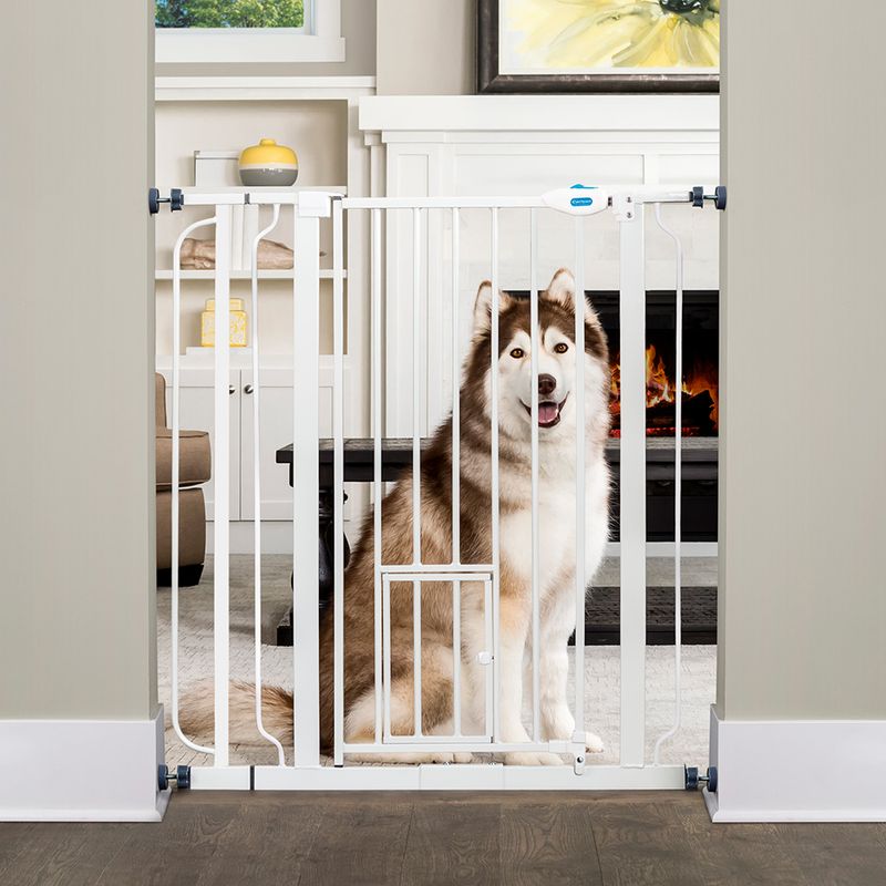 Barrière de sécurité Carlson Pet Gate extra haute avec chatière