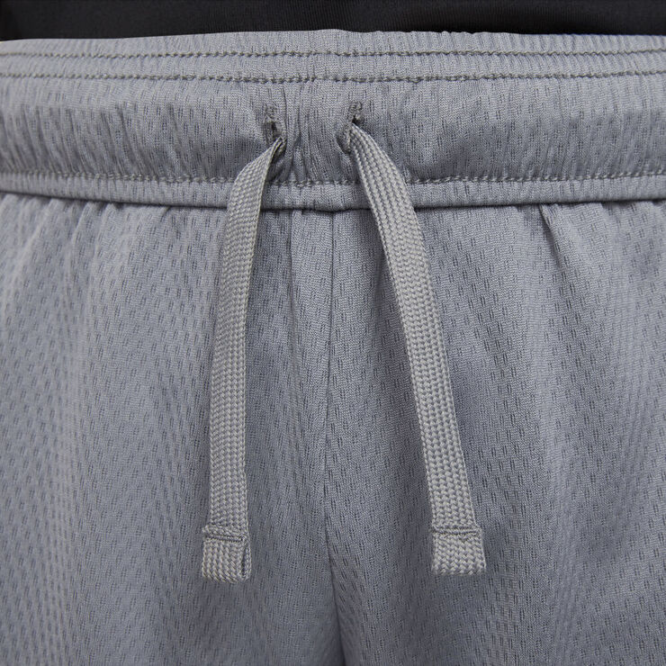 Nike Dri Fit Traeningsshorts Grå