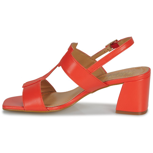 JB Martin - VITALIE - NAPPA CORAIL