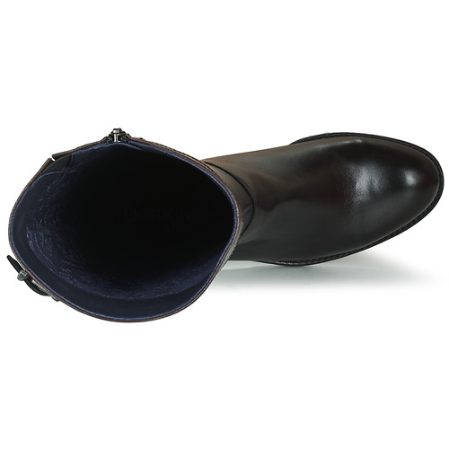 Dorking - TIERRA - Noir / Marron