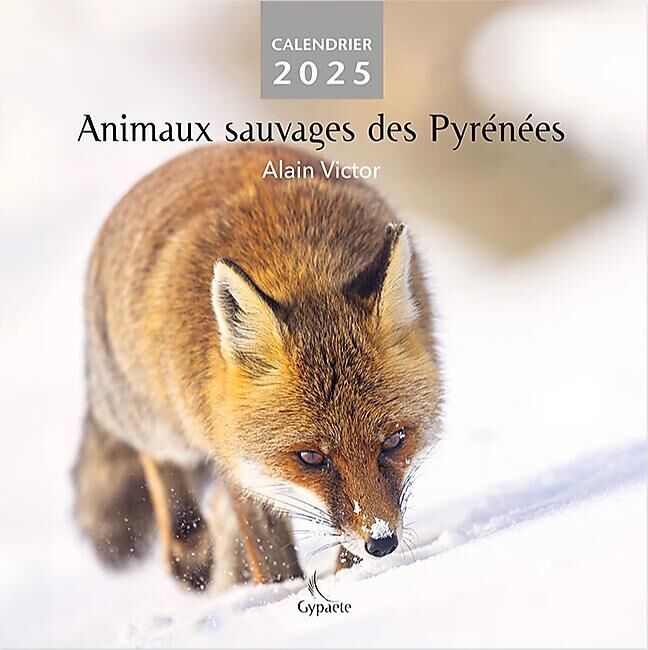 CAIRN DIFFUSION - CALENDRIER ANIMAUX SAUVAGES DES PYRENEES