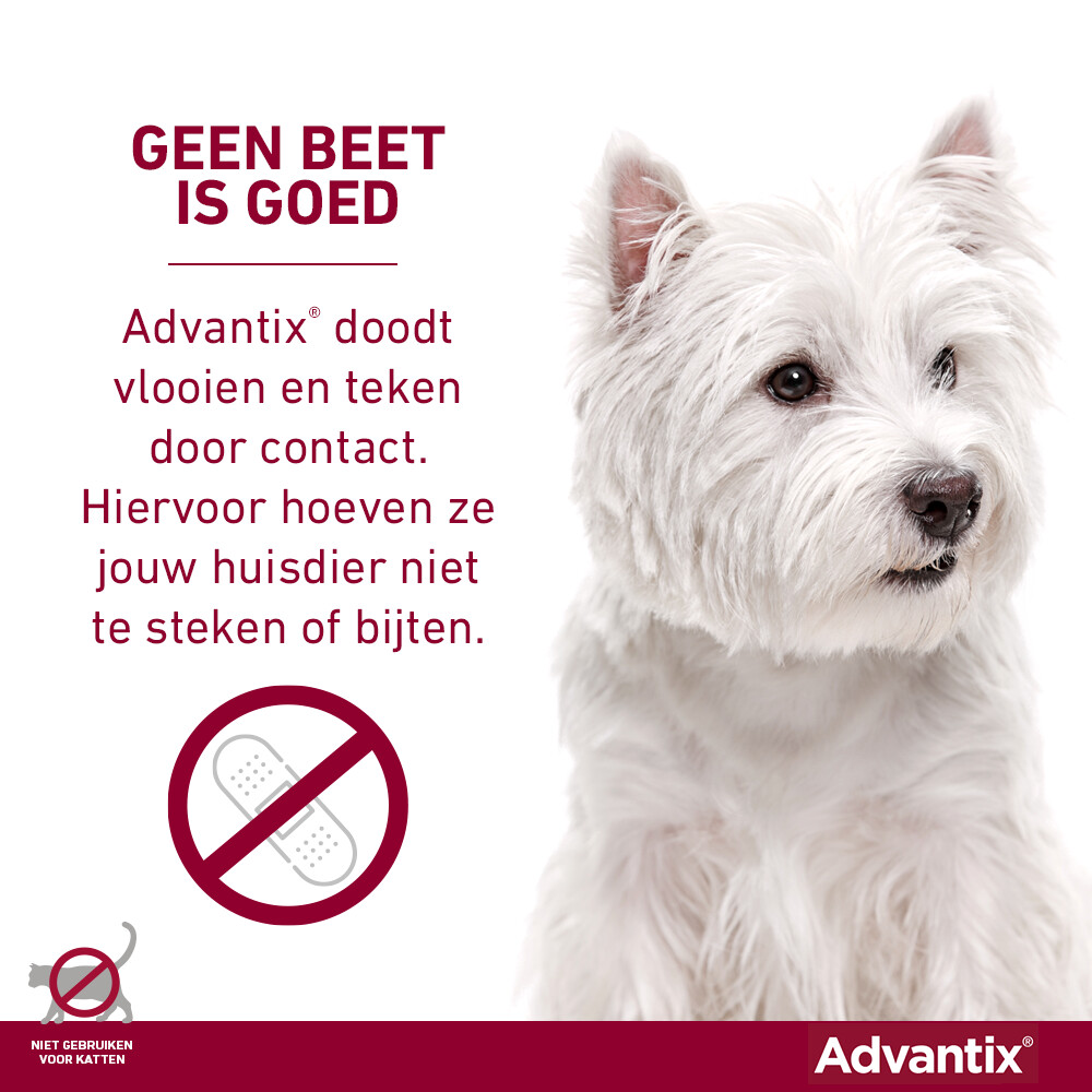 Advantix Spot On 40 Anti Vlooien en Teken Druppels Hond tot 4 kg4 pipetten