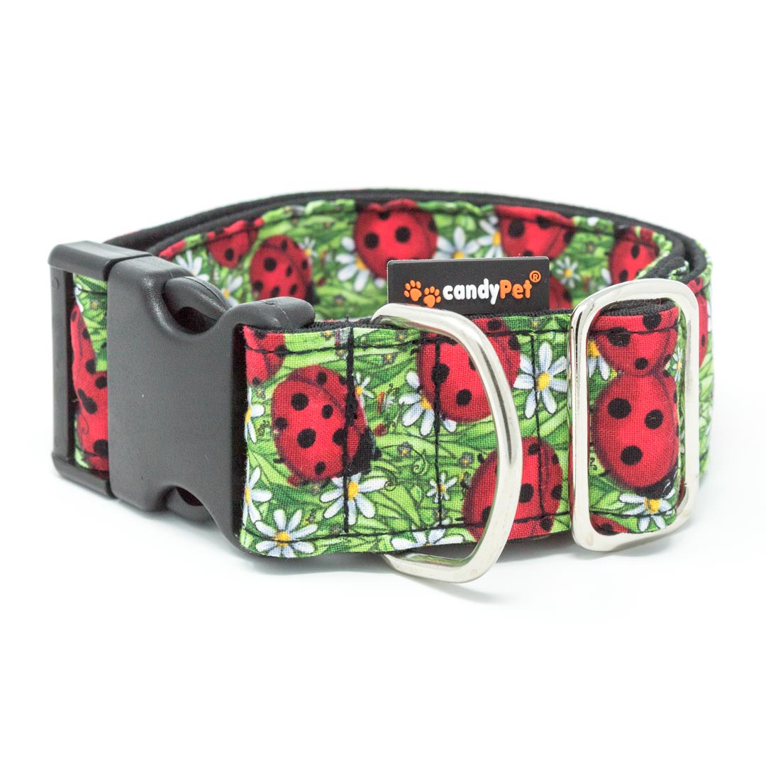 Coleira clicker candyPet® para cães - Modelo Joaninha