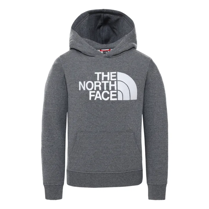 The North Face Hoodie | Gris