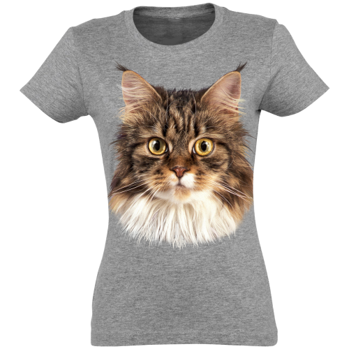 Camiseta feminina de angorá, cinza