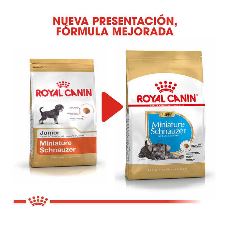 Ração Royal Canin para filhotes de Schnauzer Miniatura