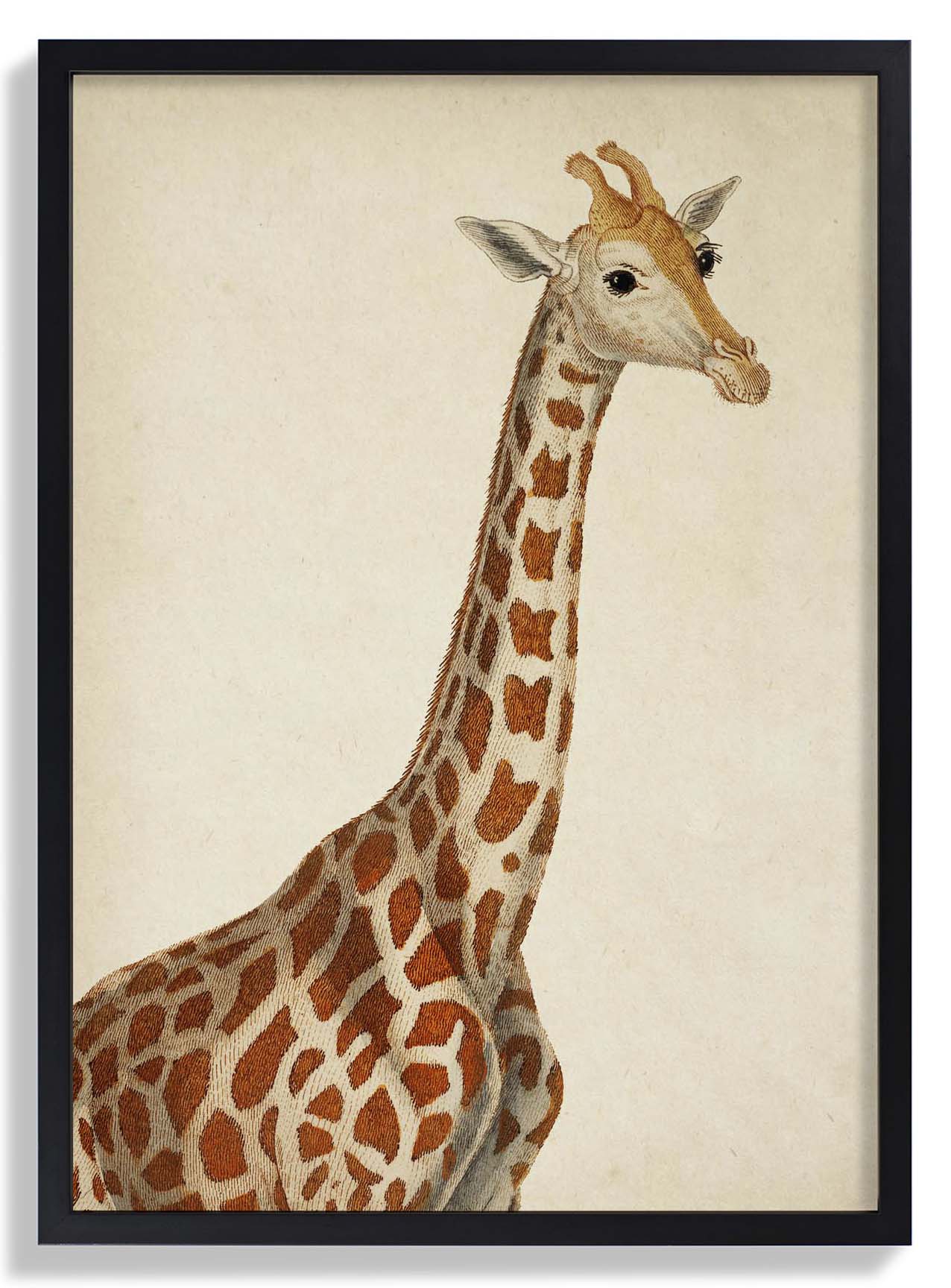 Antike Giraffe