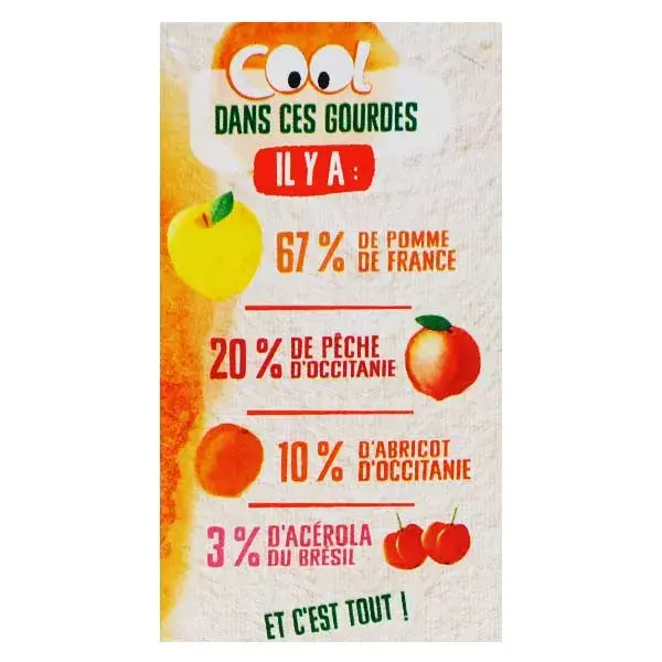 Vitabio Cool Fruits Maçã Pêssego Damasco Acerola Orgânico 4 x 90g