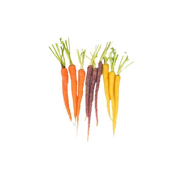 Cenoura Rainbow Bio - Kg