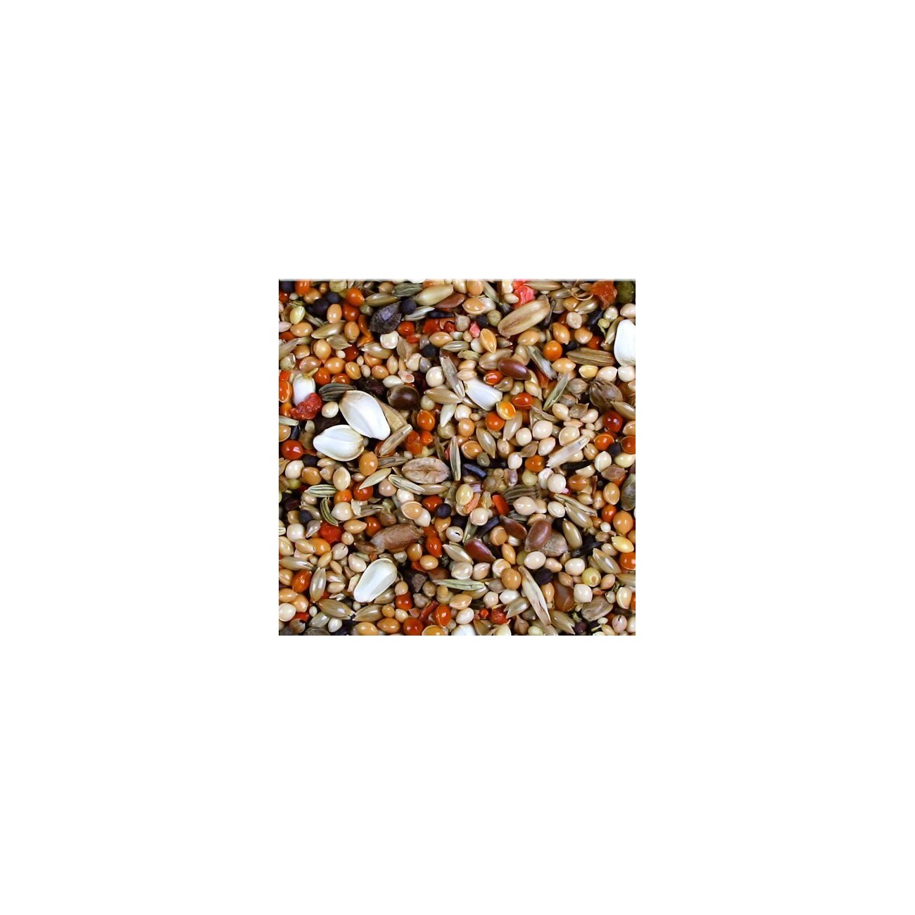 JR Farm Premium Agapornide 1kg