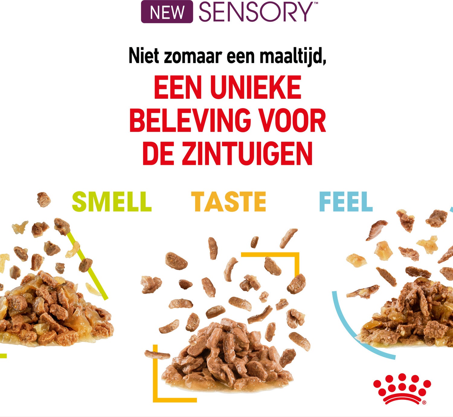 Royal Canin kattenvoer in saus Sensory Feel 85 g 12 stuks