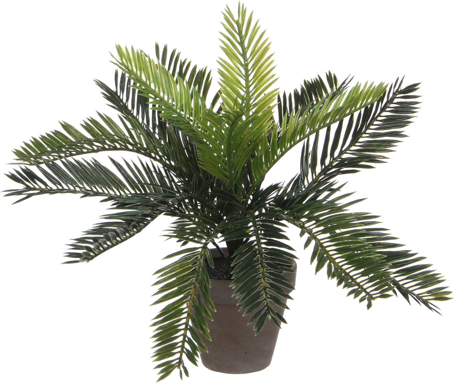 Mica Decorations kunstplant Cycas Palm D 34 H 33 cm