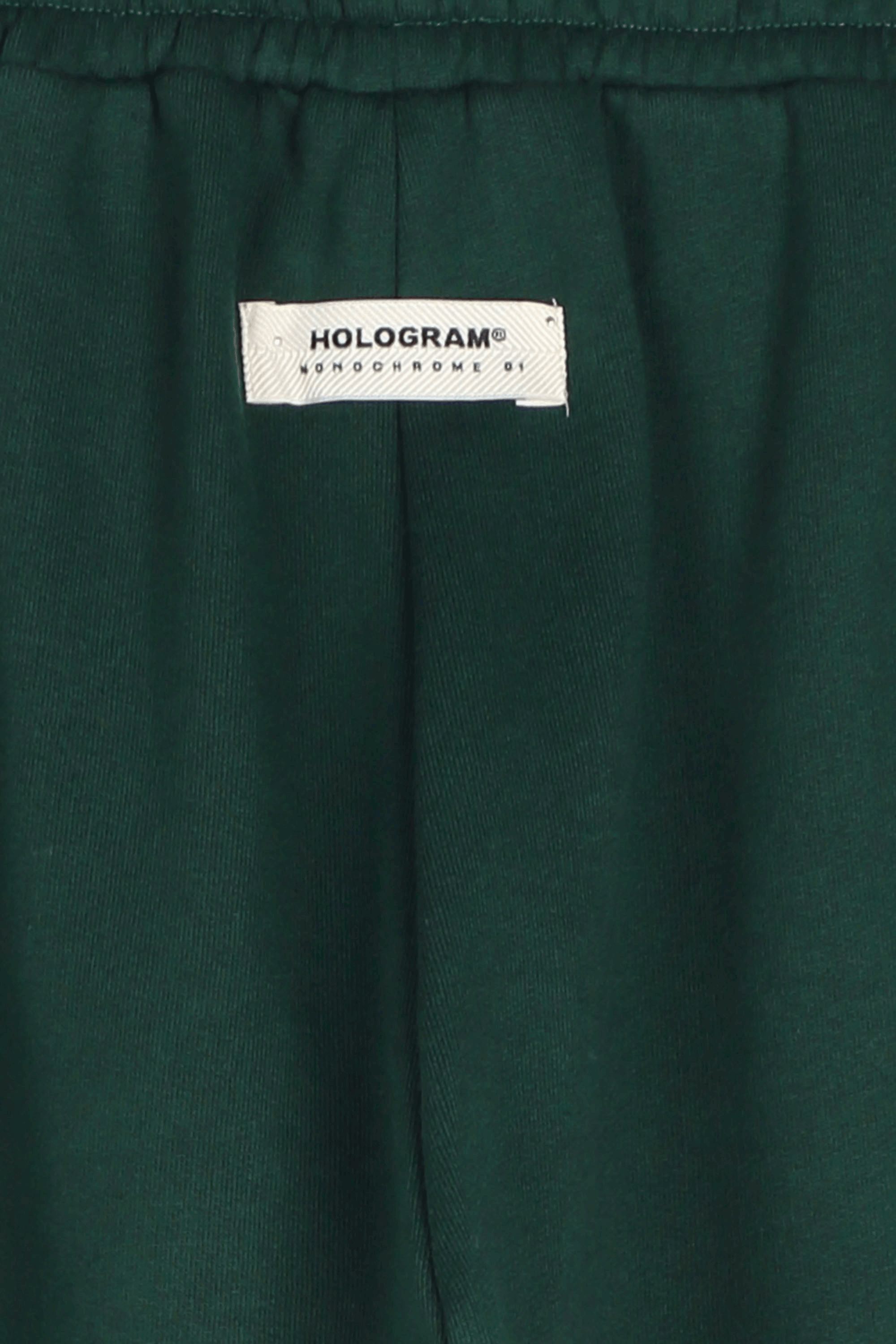 Hologram Jogging  Pant Monochrome Vert