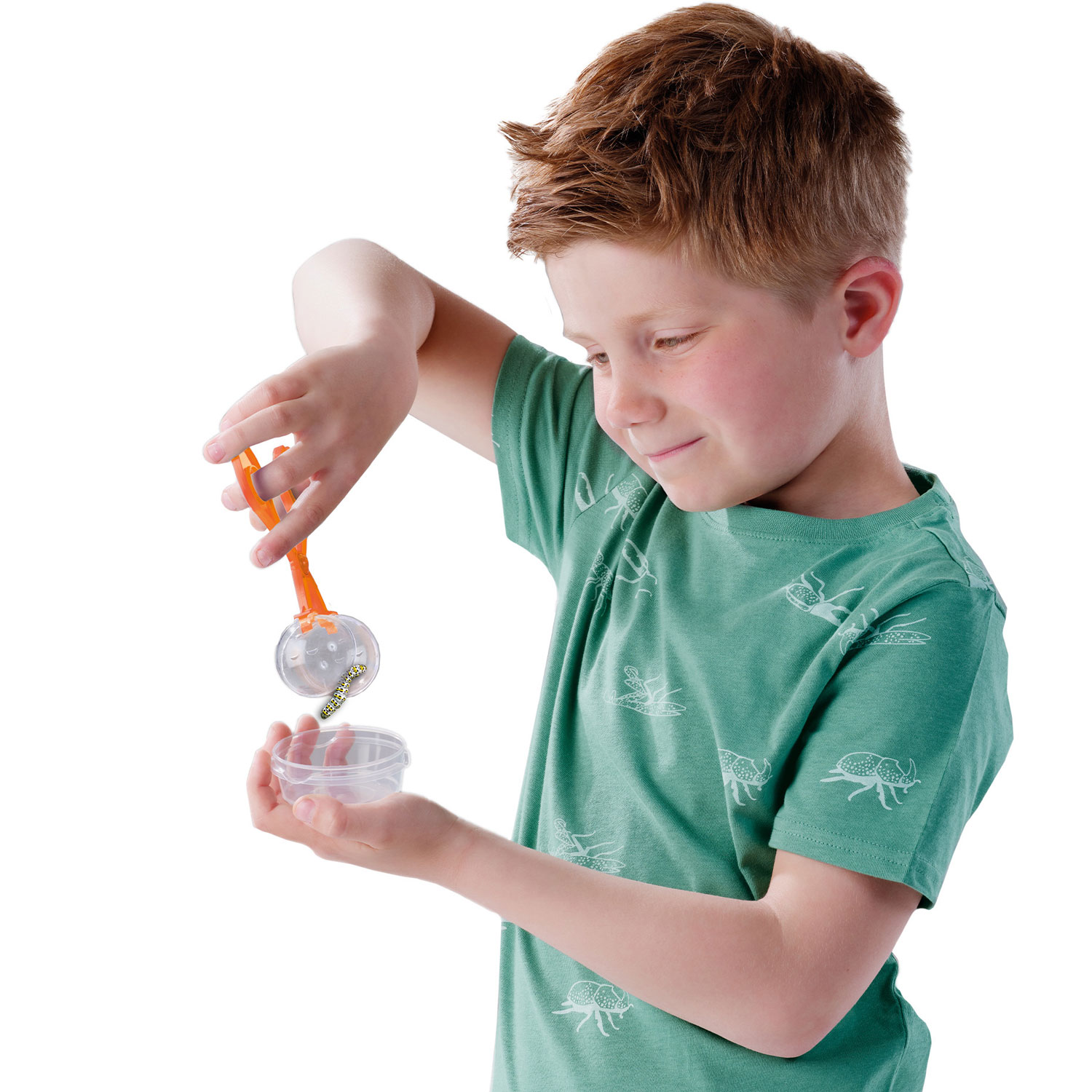 SES Explore - Insecten Explorer