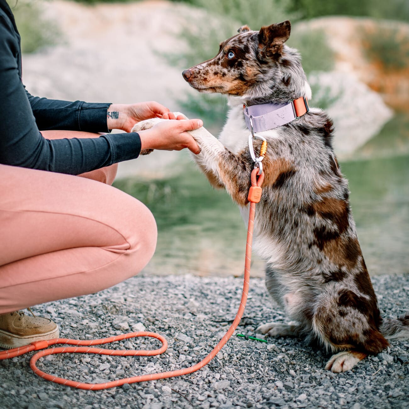 Woolly Wolf Halsband Color Block Martingale Salmon Pink Mix S