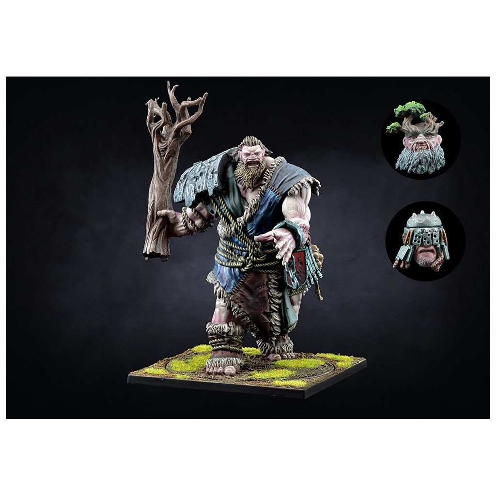 Conquest - Two Player Starter Set: Nords Vs City States