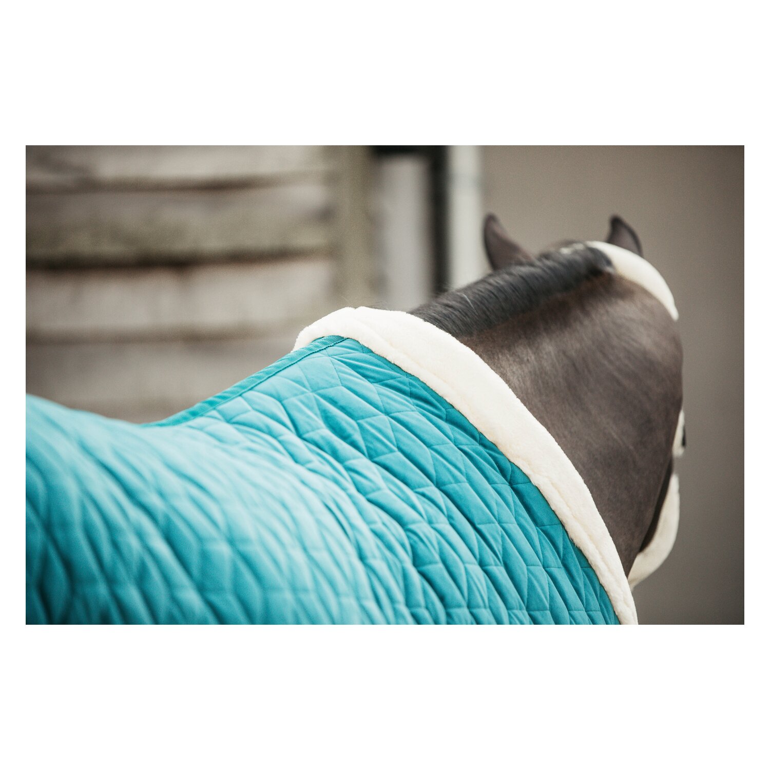 KENTUCKY Show Rug Velvet  - emerald
