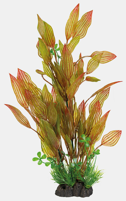 Superfish Art Plant 40cm Henkelianus | Aquarium planten