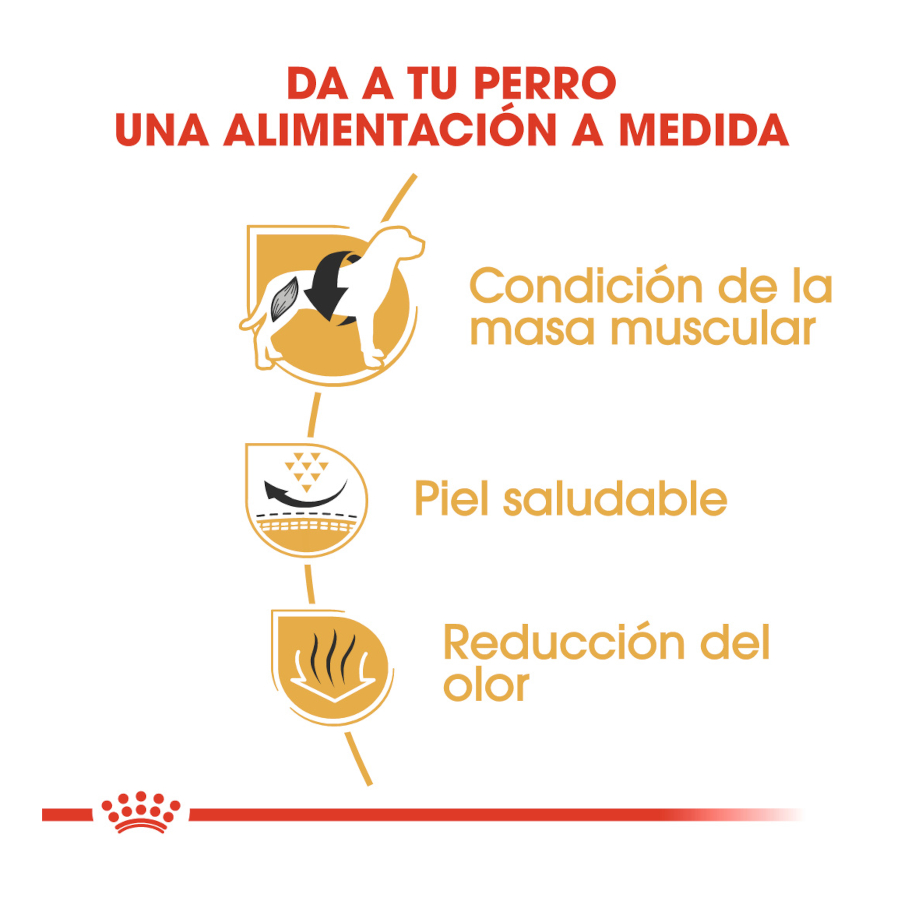 Ração Royal Canin French Bulldog para cães adultos