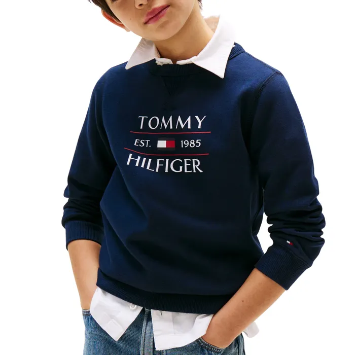 Tommy Hilfiger Flag Logo Sweater Junior