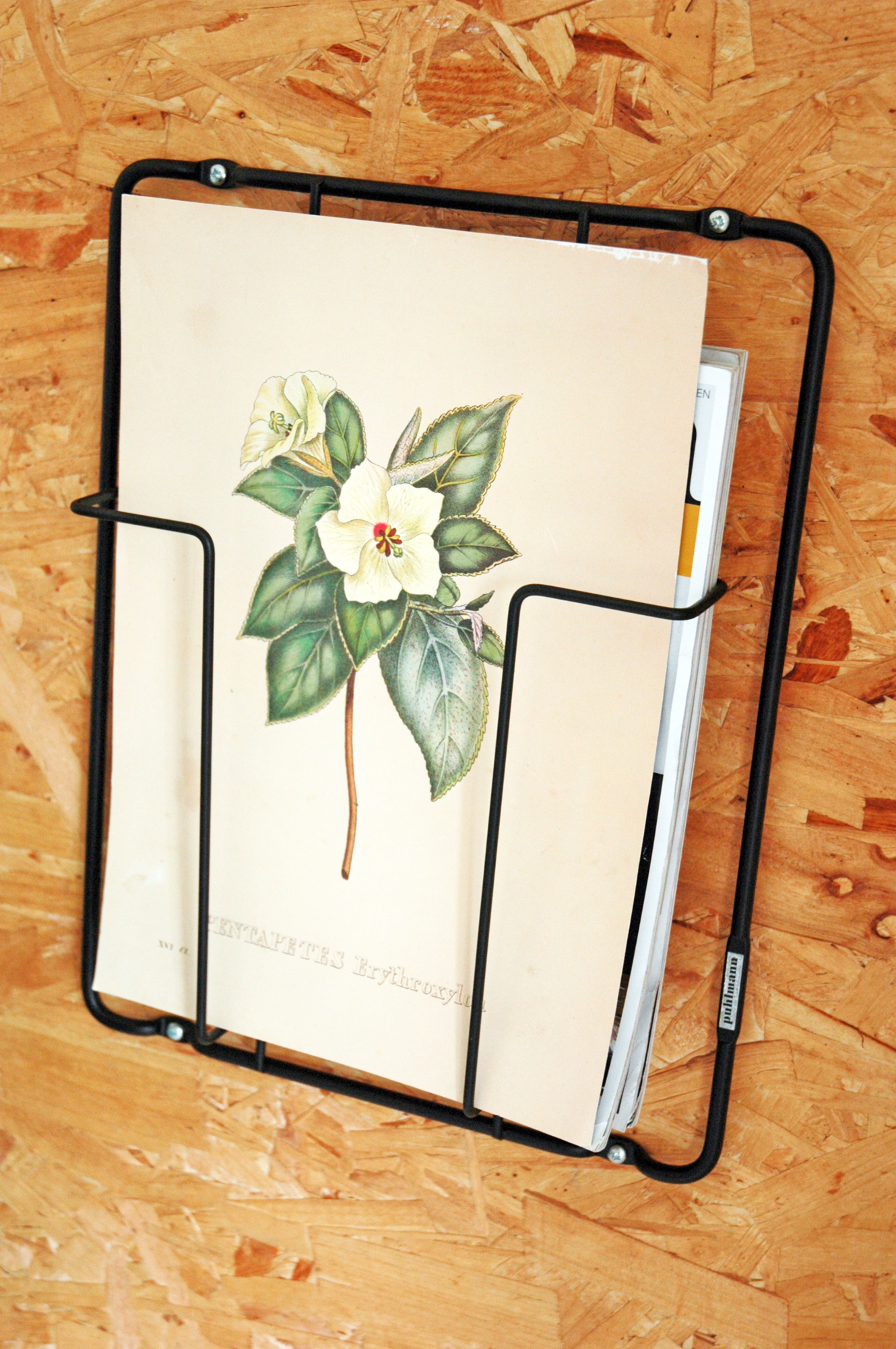 Puhlmann Frame 1