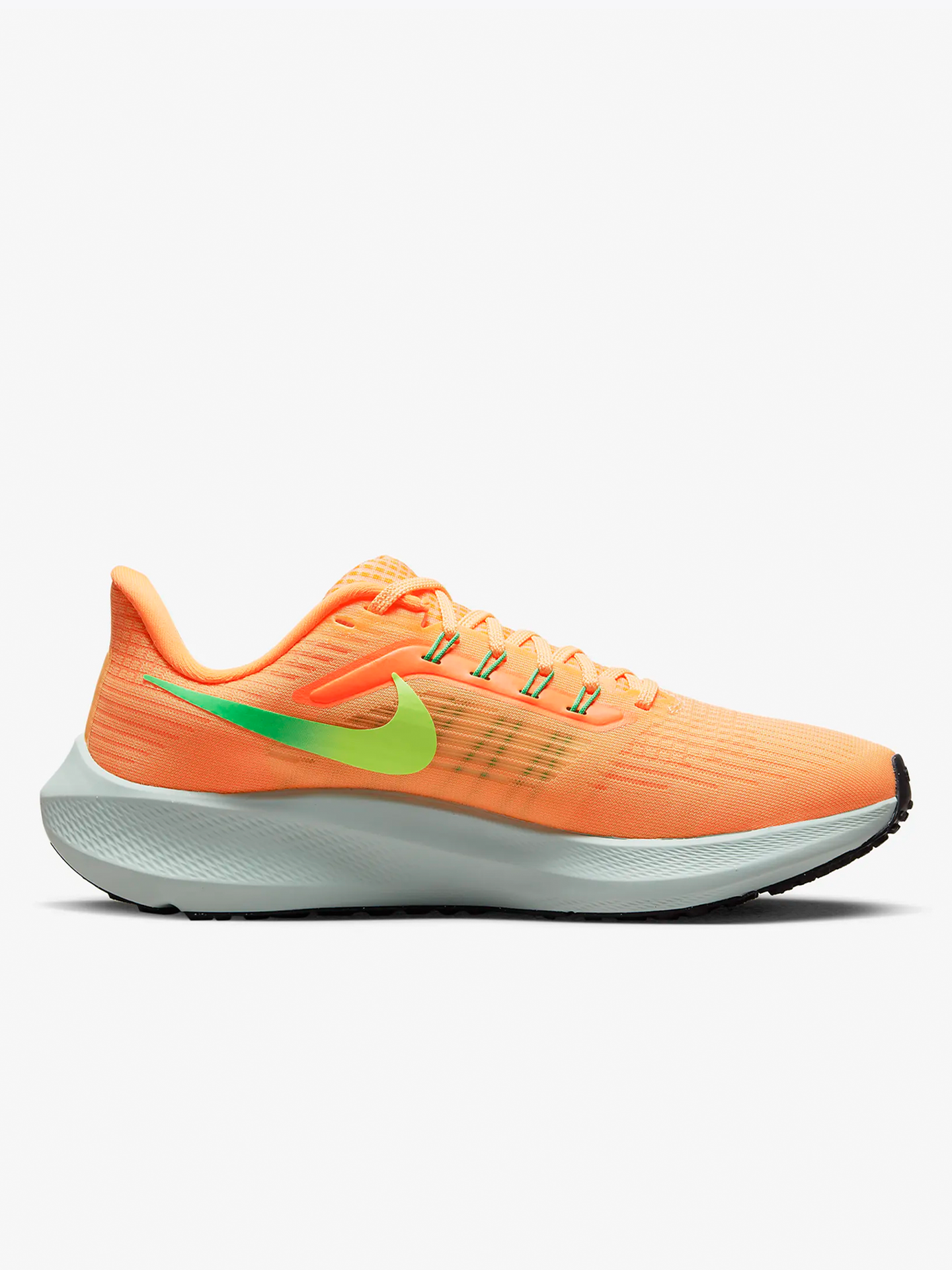 Air Zoom Pegasus 39