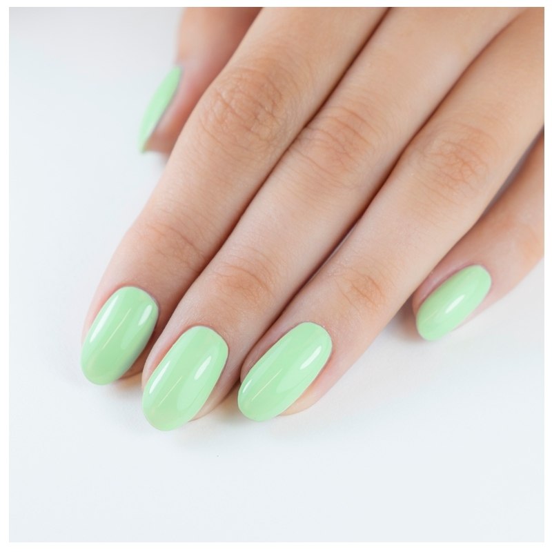 ProNails Longwear Nail Polish 10 ml - 242 Palmy Days