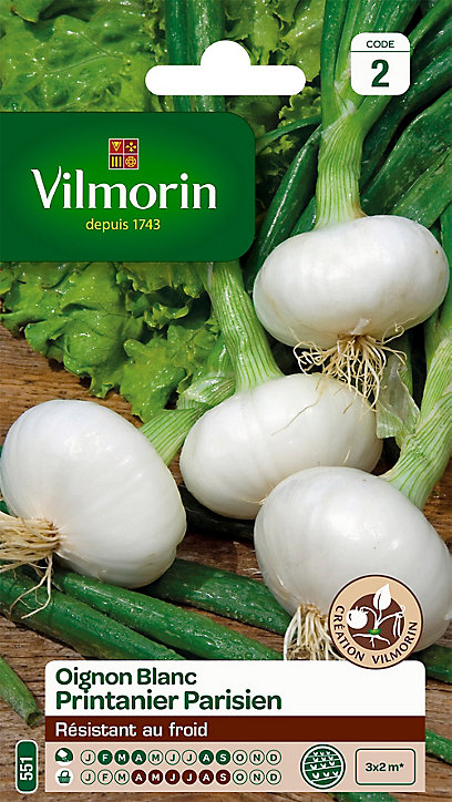 Graines d'Oignon Blanc Printanier Parisien Vilmorin