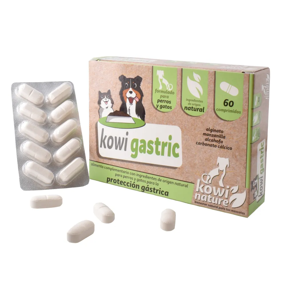 KOWI GASTRIC, 60 COMPRIMIDOS