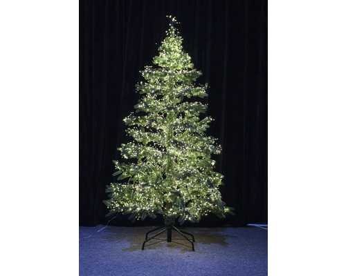 LED-lichtsnoer Lafiora Cluster 15 m + 10 m aansluitdraad 1500 LED's warm wit licht