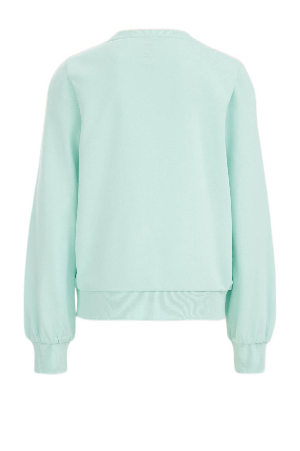 WE Fashion sweater mintgroen