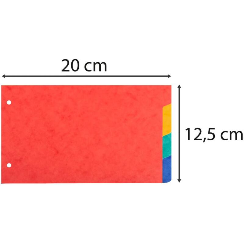 Intercalaires pour fiches bristol carte 225 g Forever® 4 positions - 12,5 x 20 cm