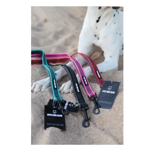 Guia para cães APEX DOG GEAR em nylon preto com alça dupla