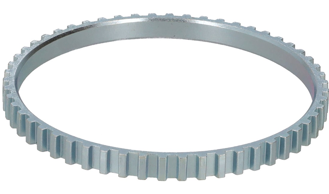 ABS ring, Ø 100 x T 54 x B 8,1