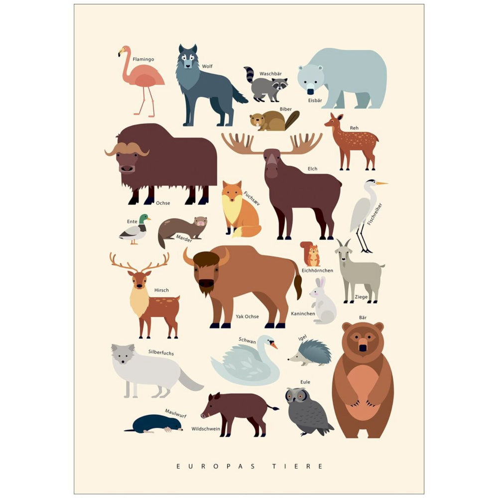 Køb Poster & Frame Citatplakat - Europas Tiere
