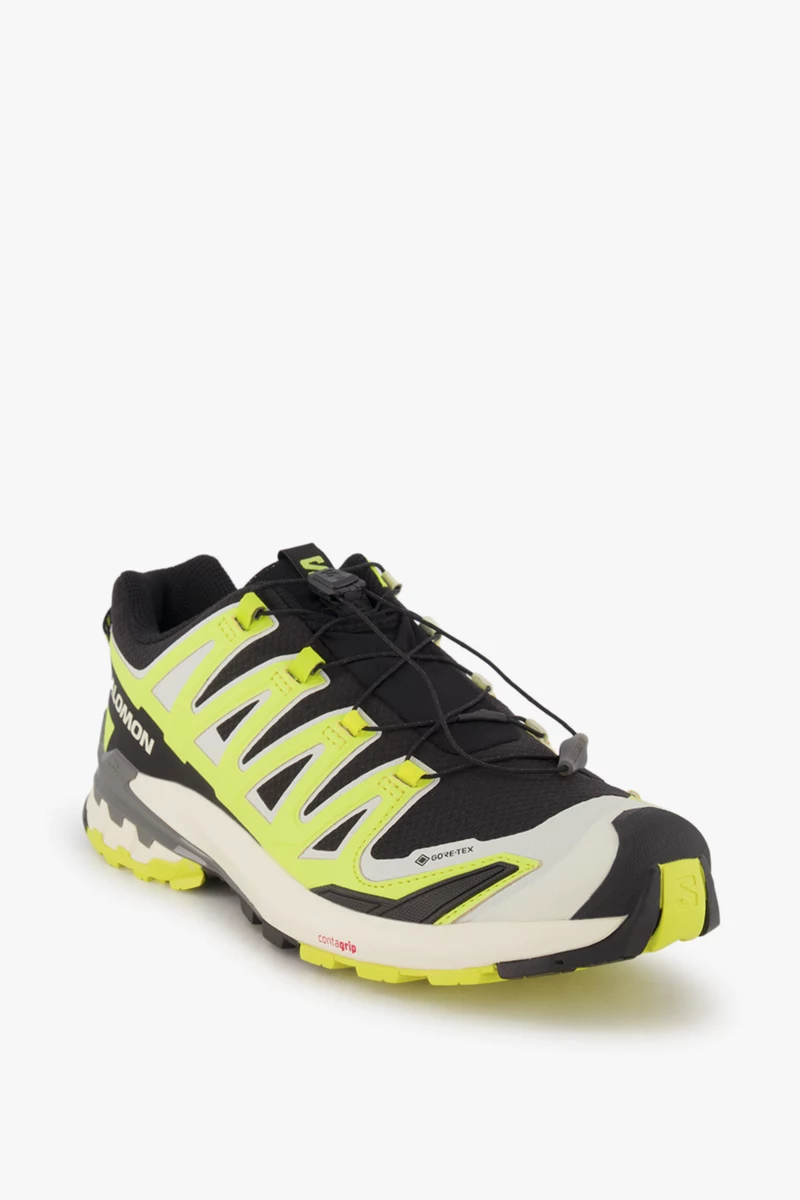 Salomon XA Pro 3D V9 Gore-Tex® Herren Trekkingschuh
