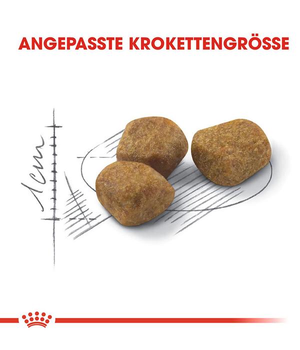 ROYAL CANIN® Trockenfutter für Katzen Indoor