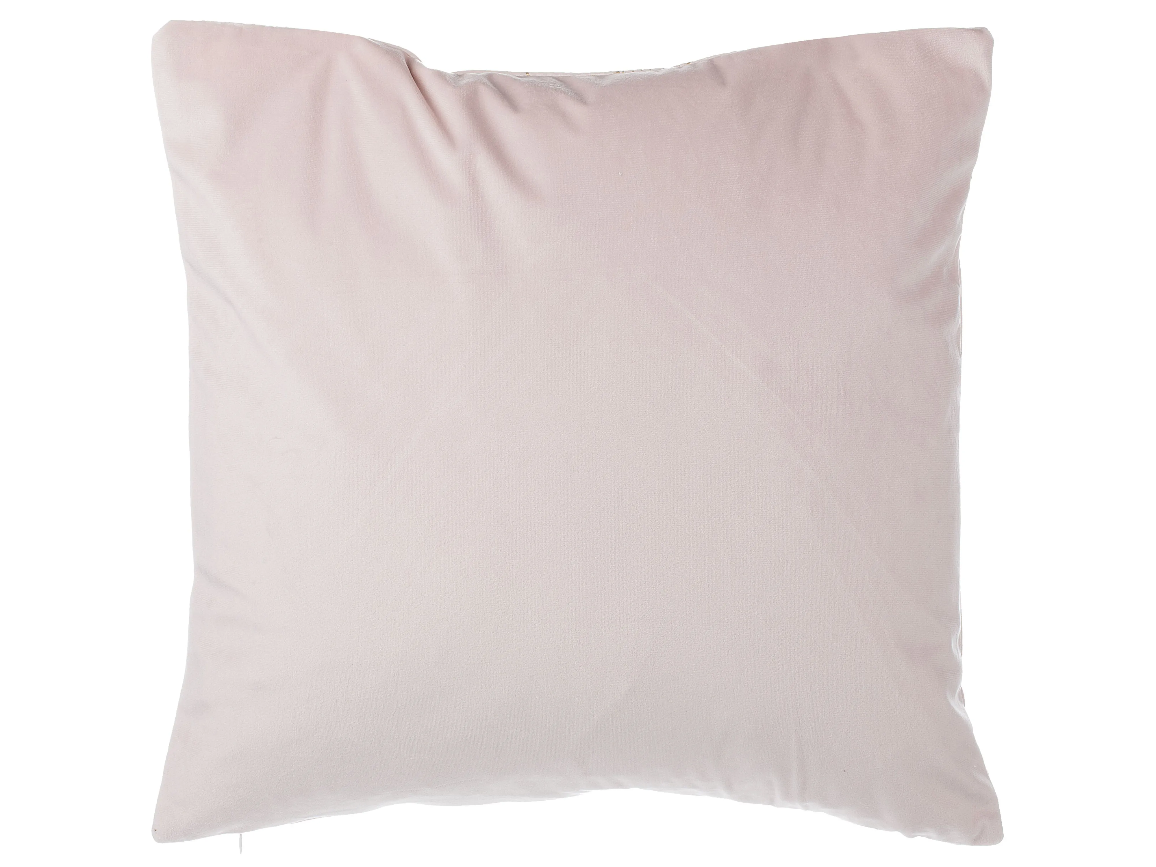 Set van 2 sierkussens FREESIA Fluweel 45 x 45 cm Roze bladpatroon