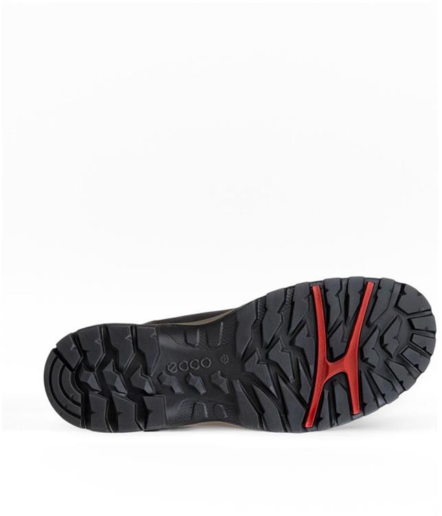 Ecco 811414 XPEDITION coffee