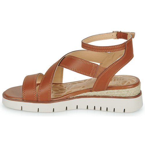 MTNG - 53366 - Marron / Beige