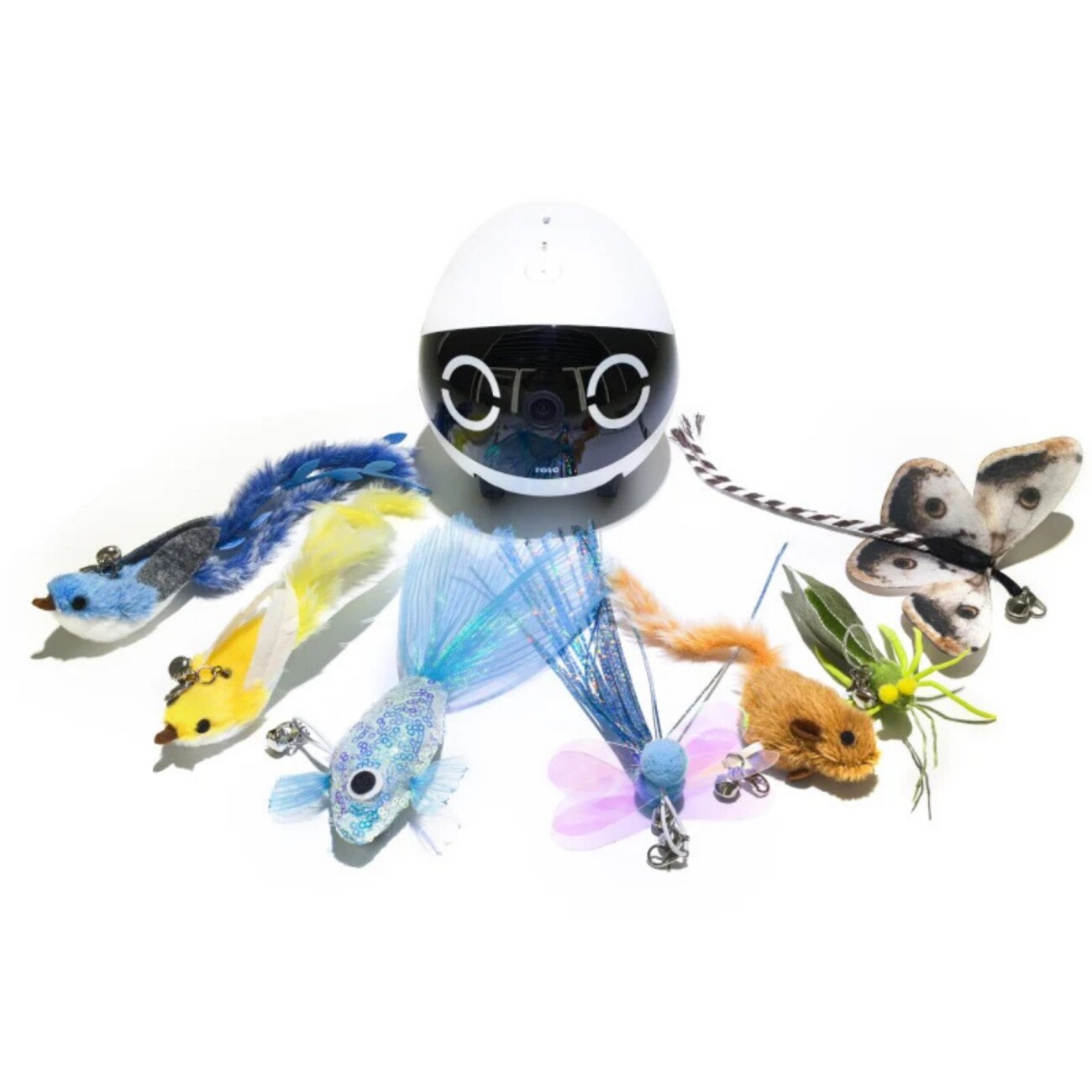 Enabot Rola Mini - Mobiler Heimtierroboter + Zubehör