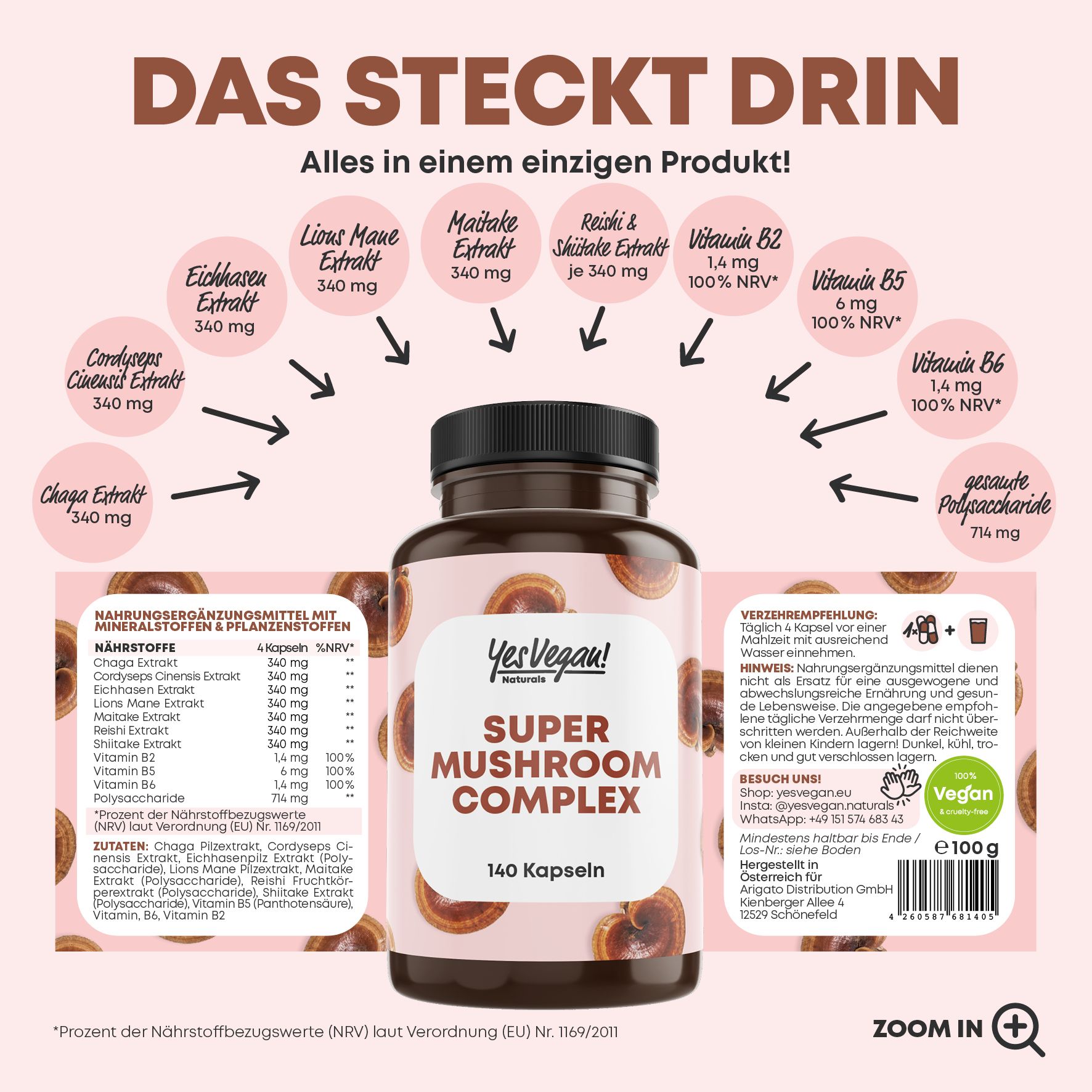 Pilz Komplex mit B2 B5 B6 mit 7 Pilzen Lions mane, Reishi Pilz, Cordyseps, Chaga, PREMIUM