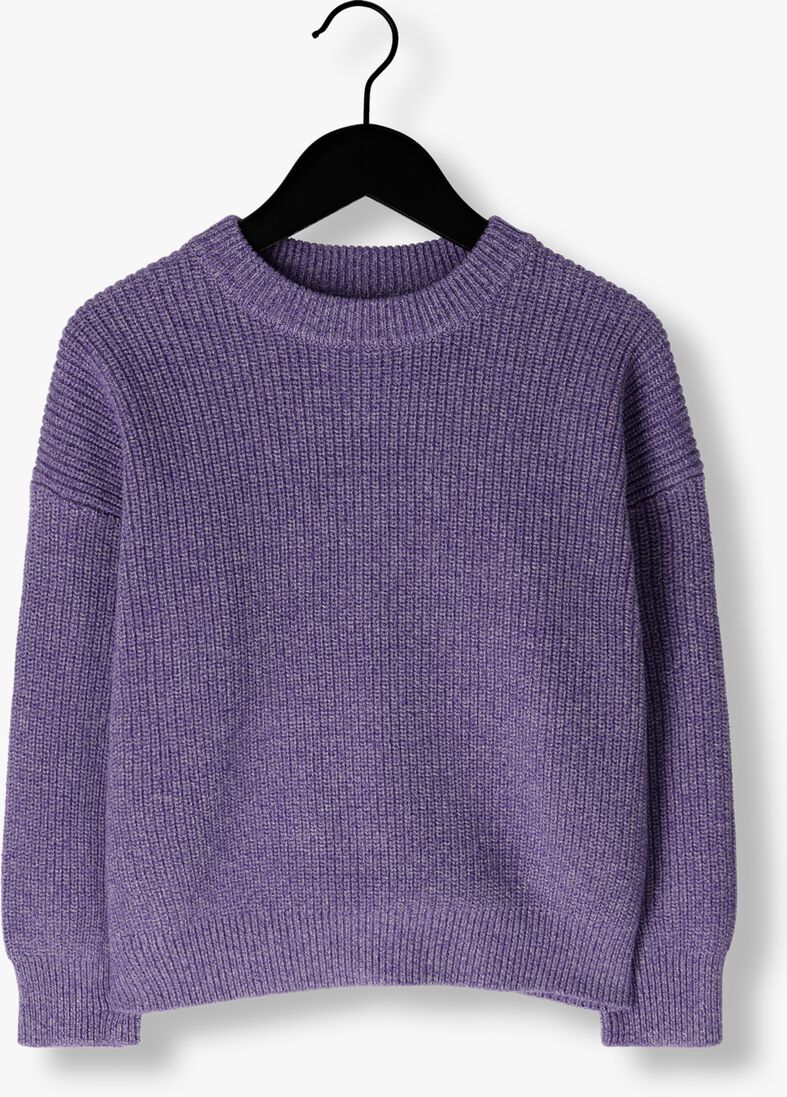 DAILY BRAT paarse daily brat trui charlie knitted sweater lilac